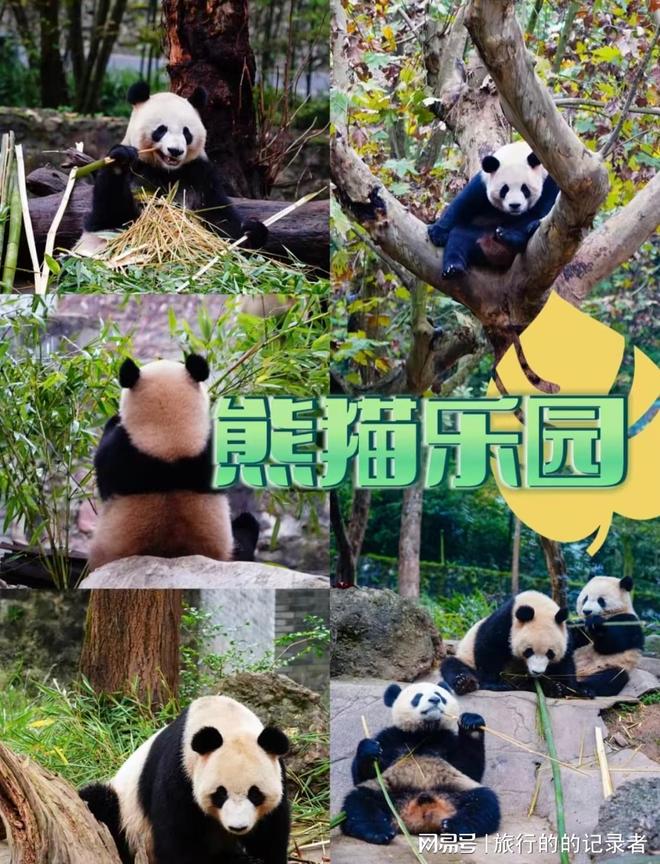 四川旅游7天6晚：黄