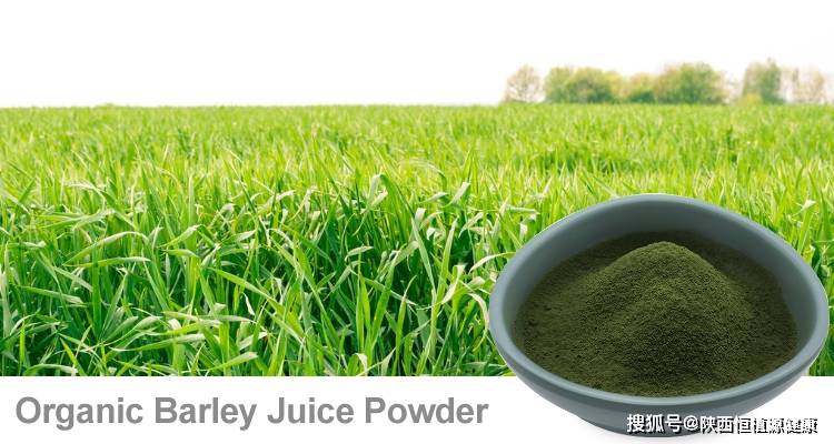 有机大麦苗粉：促进睡眠的自然选择 陕西恒