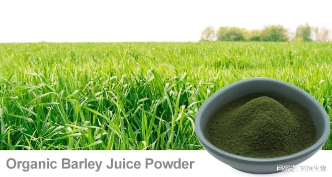 有机大麦苗粉提供丰富的营养素 富恒生物